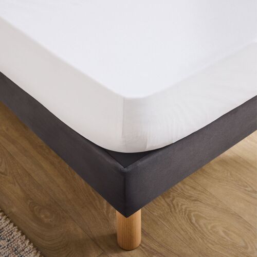 Douceur D'intérieur - Protege Matelas 160 X 200 Cm Molleton Molly Bonnet 30 Cm