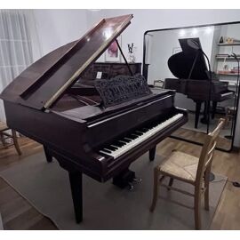 A Vendre Piano Pleyel 1/4 De Queue, Numéro Série 157006 , Entiérement Restauré, Facture À L'Appui , 10.000 Euros