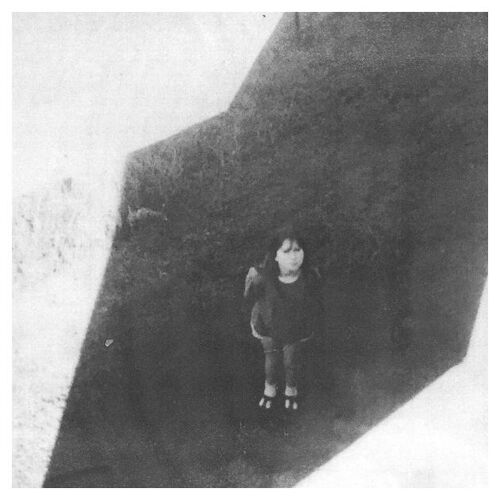 The Next From Field Commander - Vinyle