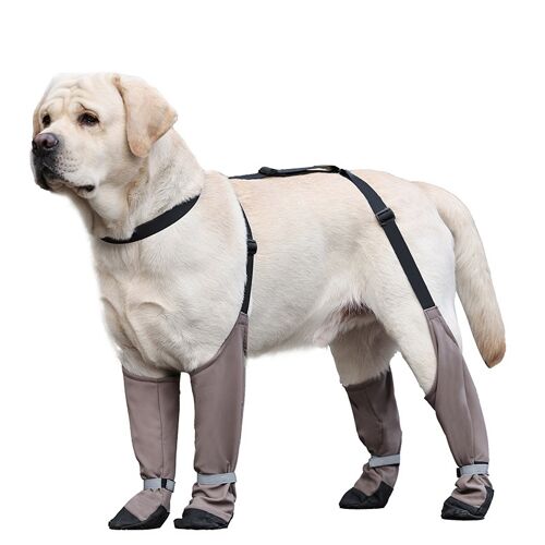 Bottes Chauffantes Antidérapantes Pour Chiens De Grande Taille : Protection Des Pattes M