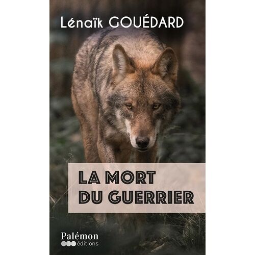 La Mort Du Guerrier