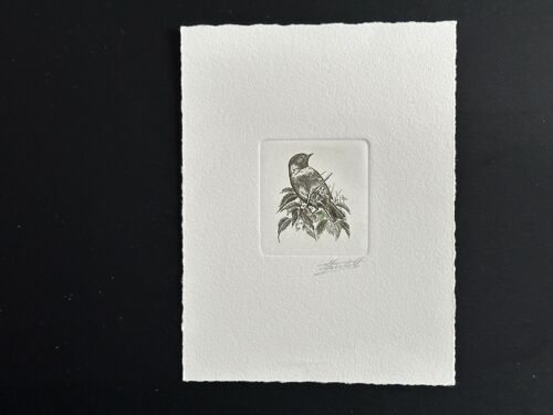 Belgique 1990 Cob 2397 Epreuve D'artiste Proof 1er Jour Fdc Oiseau Vogel Bird Andre Buzin Traquet Patre Vert