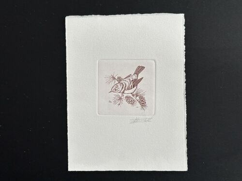 Belgique 1991 Cob 2424 Epreuve D'artiste Proof 1er Jour Fdc Oiseau Vogel Bird Andre Buzin Roitelet Huppe Rouge