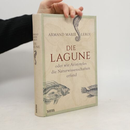 Die Lagune