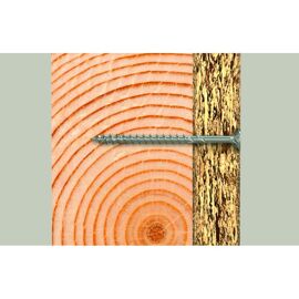 Vis à bois Fischer Power-Fast II FPF-ST A2; TX30; 6 0x180 mm; 100 unités