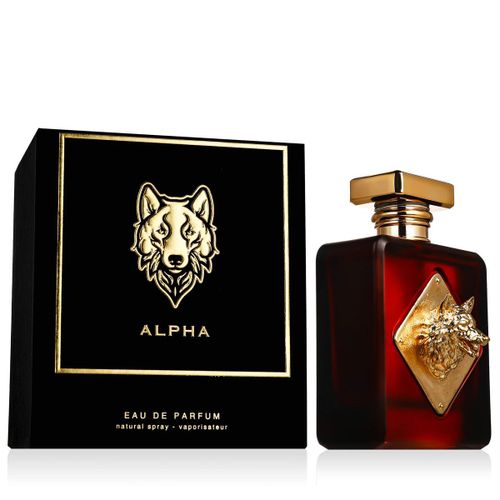 Parfum Homme Coach Fragrance World Alpha 100ml 