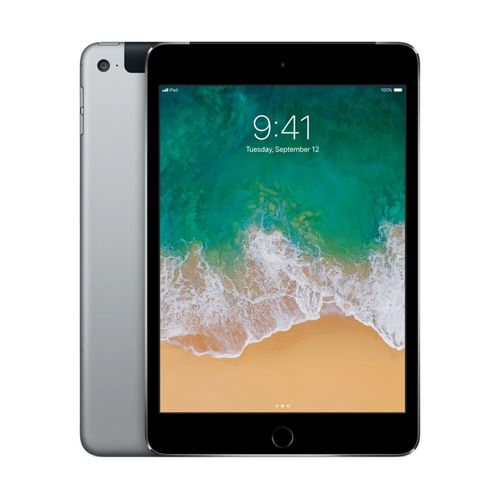 iPad Mini 4 7.9'' 64Go - Gris - WiFi + 4G