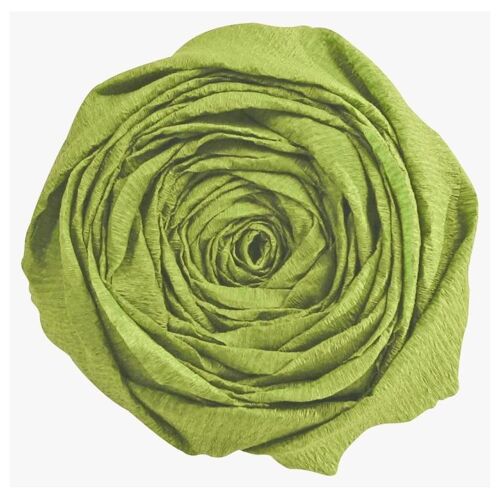 Clairefontaine 903055c Papier Crêpon Vert