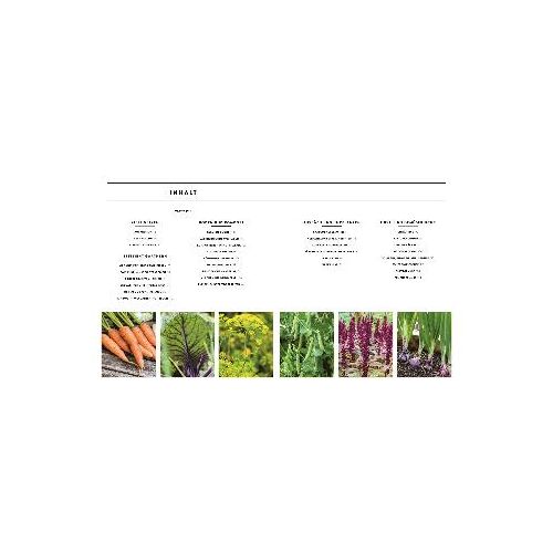 Mein Gemüsegarten
