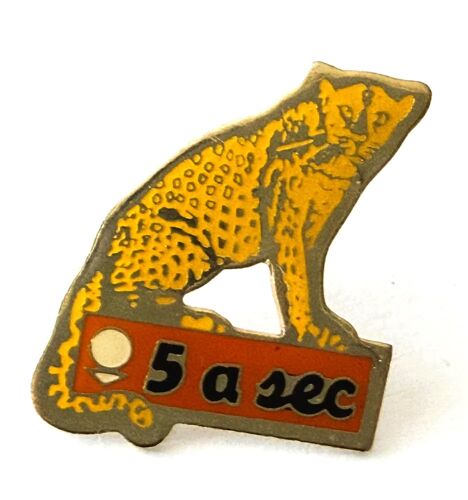 Pins Panthere 5 A Sec Pressing Nettoyage Vetements