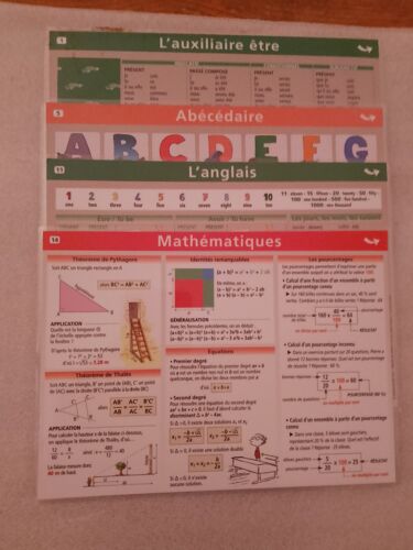 Lot De 4 Mini Posters Le Petit Nicolas - Tome 1 : Être/Avoir - Tome 5 : Abécédaire/Lire Et Écrire - Tome 11 : Imagier Anglais - Tome 14 : Mathématiques - Surfaces Et Volumes