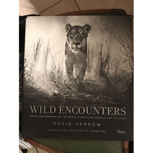 Wild Encounters  David Yarrow 