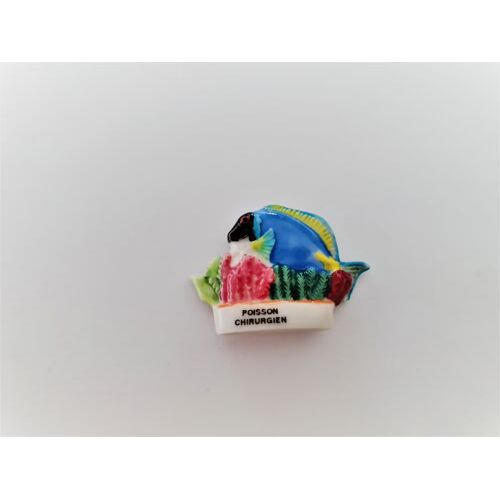 Fève Poisson Exotique Poisson Chirurgien
