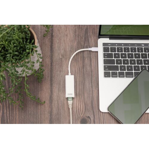 Digitus Adaptateur Ethernet Gigabit USB de Type-C