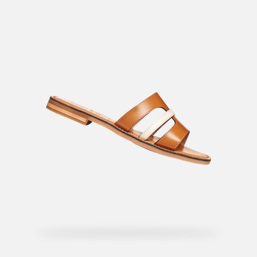 Chaussures D Maddalusiac