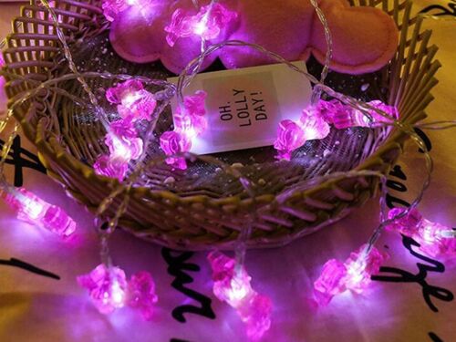 Guirlande Lumineuse Licorne À 20 Led, Alimentée Par Piles, Pour Une Utilisation Intérieure Et Extérieure