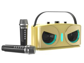 Machine de karaoké Bluetooth avec 2 microphones sans fil et haut-parleur