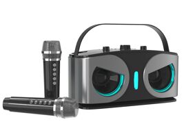 Machine de karaoké Bluetooth avec 2 microphones sans fil - Gris
