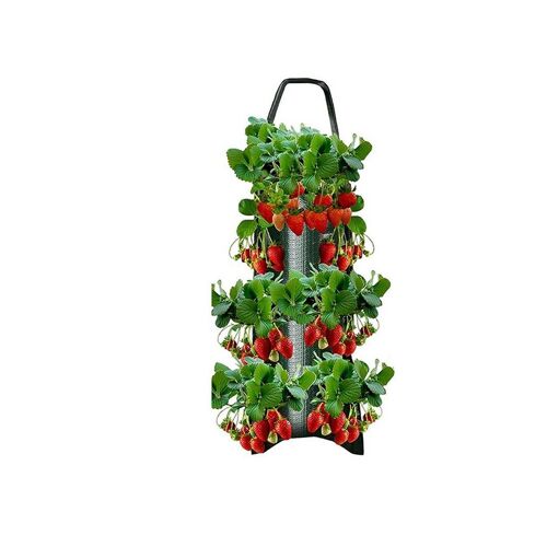 Sac De Plantation Suspendu À 6 Trous Pour Fraisiers, Idéal Pour Le Jardinage Vertical