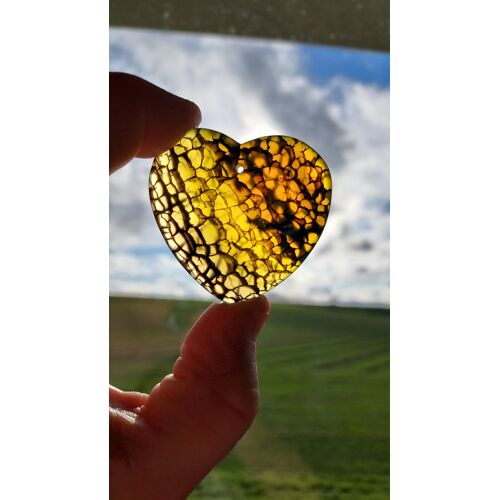 Pendentif Coeur En Agate. Jaune Et Noir Avec Veines De Dragon. 4.8 Cm. Une Pierre Magnifique À La Forme Somptueuse Et Aux Couleurs Harmonieuses, Une Des Plus Belles De Ma Collection ! Lot 1275