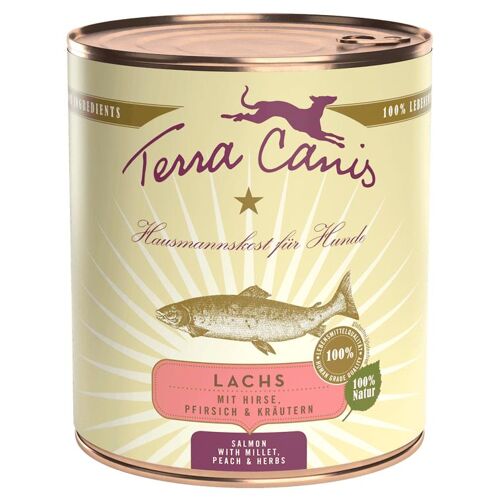 Terra Canis 180301 Pâtée Pour Chien Pêche, Saumon Adulte 800 G