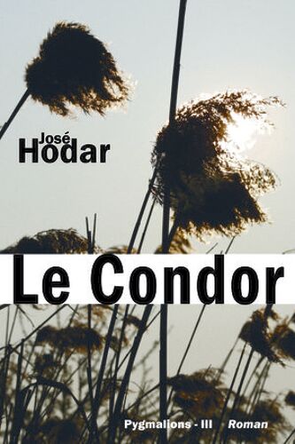 Le Condor