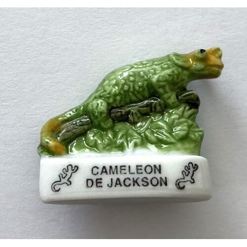 Feve Animaux Lezard Cameleon De Jackson / Éditions Atlas Peinte À La Main