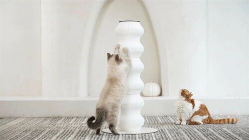 16,9x6,3x35zoll Griffoir Incurvé Pour Chat,Résistant À L'Usure,Convient Aux Chats Seuls Ou À Plusieurs Chats,Arche À Gratter Et À Grimper Pour Chat Xxl En Rotin Robuste Et Écologique,Blanc