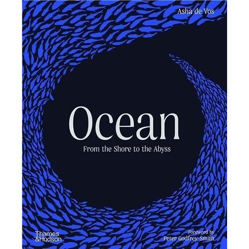 Ocean - From The Shore To The Abyss