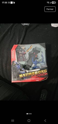 Battroborg Warrior