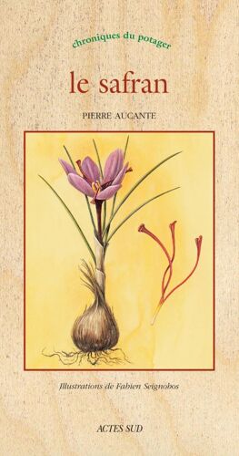 Le Safran - Chroniques Du Potager