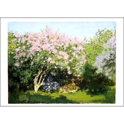 Monet Claude Lot 28 Cartes Postales Tableaux Peinture