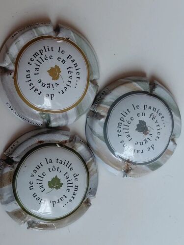 🍾 Lot De 3 Capsules De Champagne – Série 815