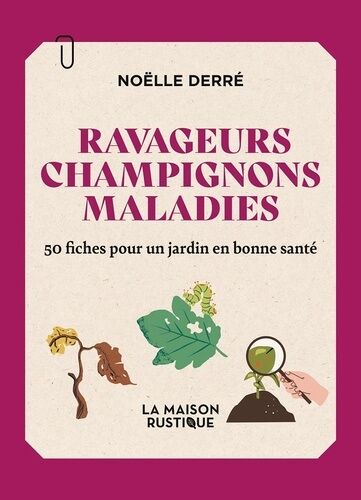 Ravageurs, Champignons, Maladies - 50 Fiches Pour Un Jardin En Bonne Santé