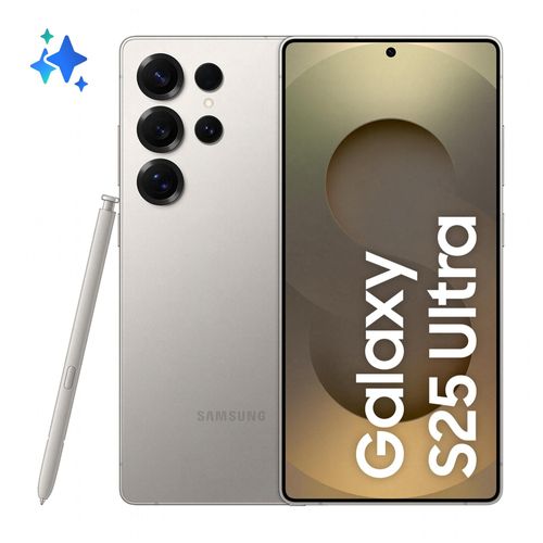 Samsung Galaxy S25 Ultra 256 Go Gris Titane