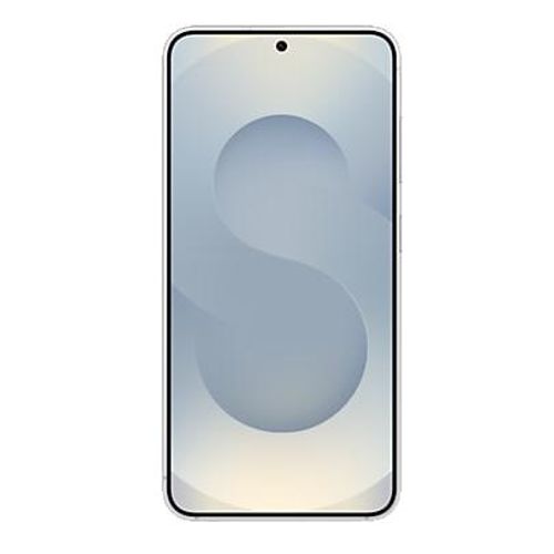 Samsung Galaxy S25 Enterprise Edition 128 Go Gris