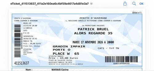 Billets Concert Patrick Bruel