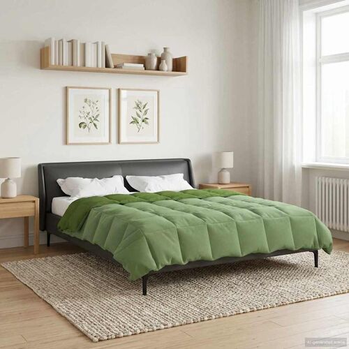 vidaXL Duvet complet toute l'année Vert 220 x 260 cm Microfibre