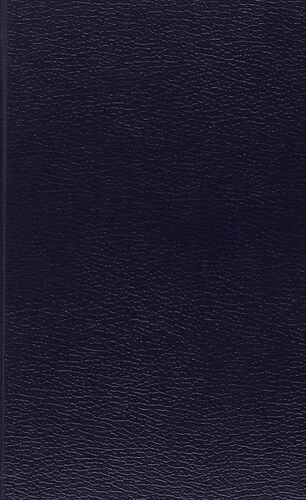 Aurélien Ou L'ecriture Indirecte - Etudes