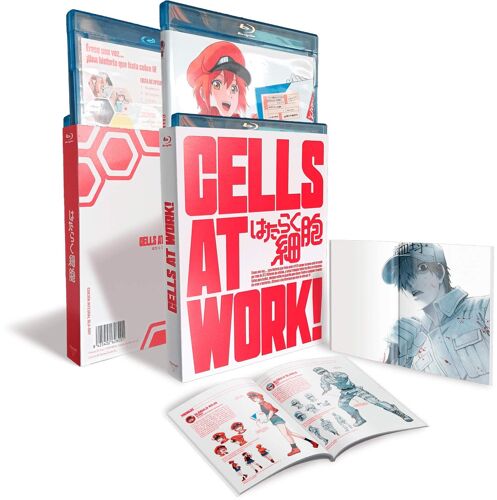 Cells At Work! Volumes - 1 + 2 Série Complète (Blu Ray)