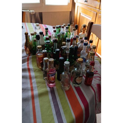 Petite Bouteille D’Alcool Miniature