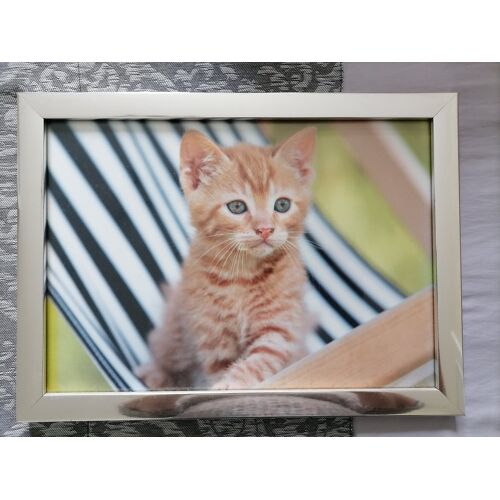 Cadre photo - Chat tigré orange.