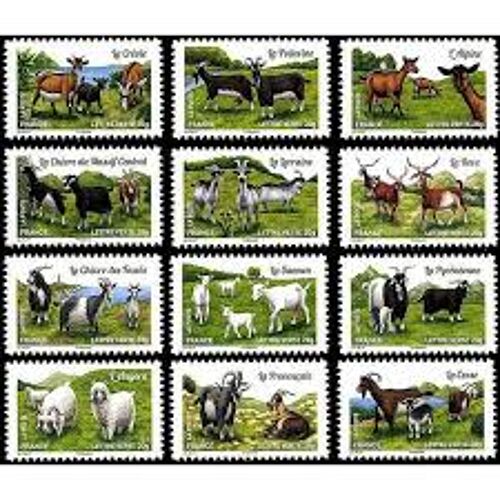 Faune : Les Chèvres De Nos Régions Série Complète Année 2015 Autoadhésifs N° 1096 1097 1098 1099 1100 1101 1102 1103 1104 1105 1106 1107 Yvert Et Tellier