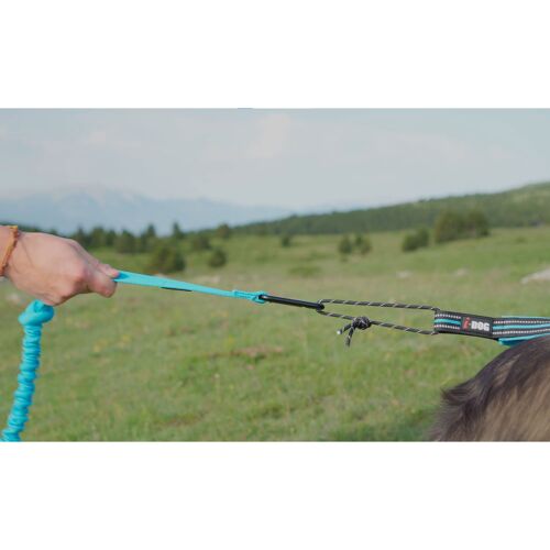 Laisse De Traction One Pour Courir Avec Son Chien, Canicross, Sport/Loisirs Bleu