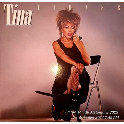 273 Superbe Album Vinyle Tina Turner Private Dancer Top