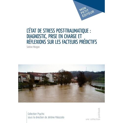 L'etat De Stress Post-Traumatique : Diagnostic, Prise En Charge Et Réflexions Sur Les Facteurs Prédictifs