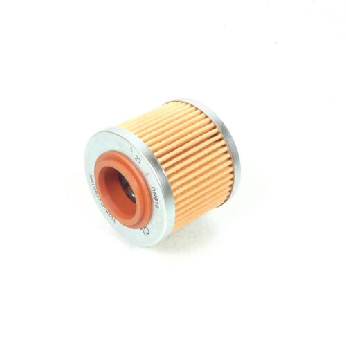 Filtre À Huile Pour Moto Bsa 650 Goldstar 2023-25 2380619100 T0203bvf0010n Dn010