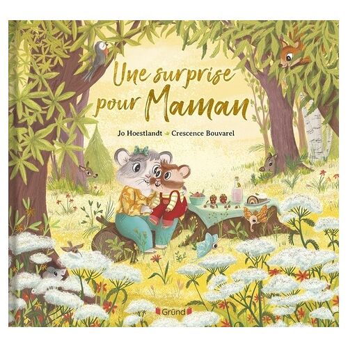 Une Surprise Pour Maman