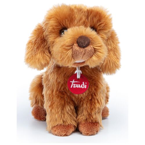 Trudi - Caniche Toy Oliver Assis