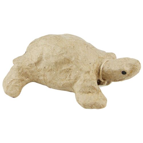 Clairefontaine Tortue